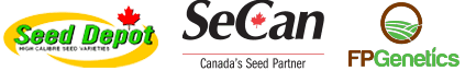 logo-trans